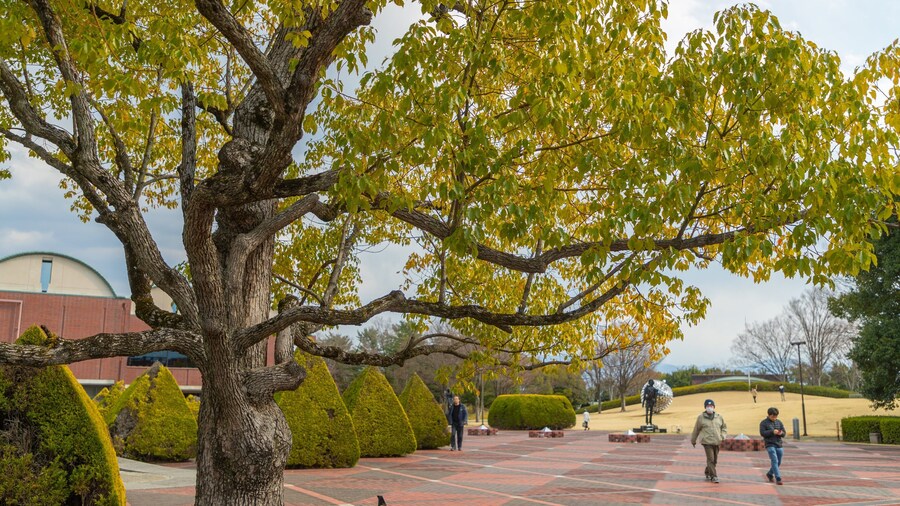 Yamanashi Prefectural Museum of Art which includes a park, a square or plaza and street scenes