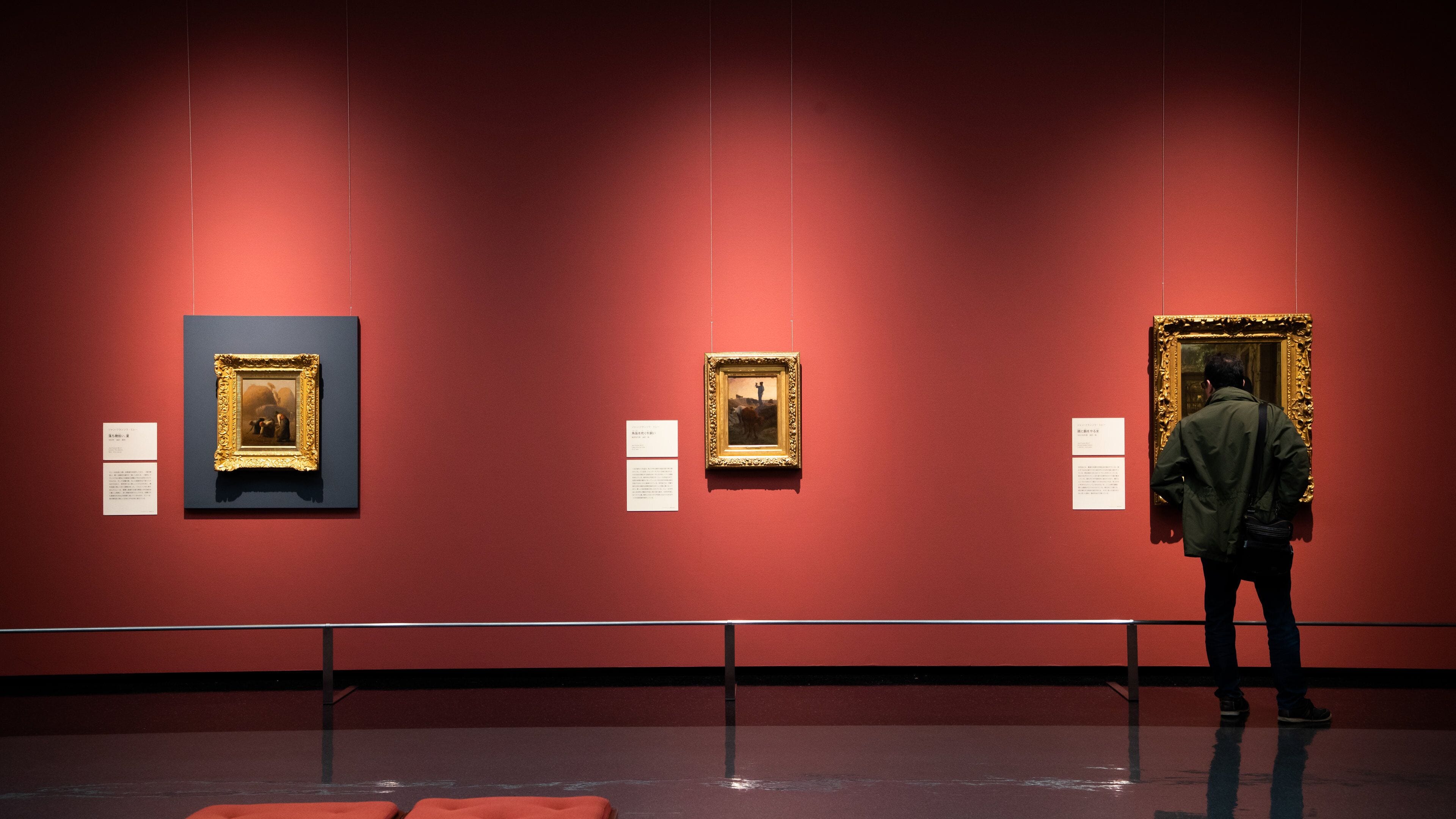 Kofu which includes interior views and art as well as an individual male