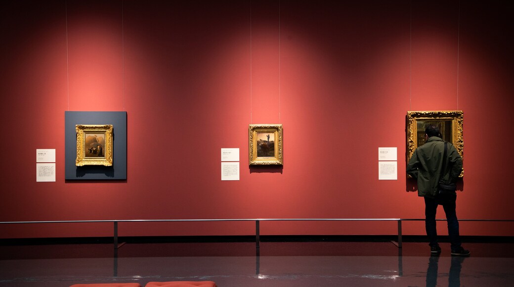 Kofu which includes interior views and art as well as an individual male