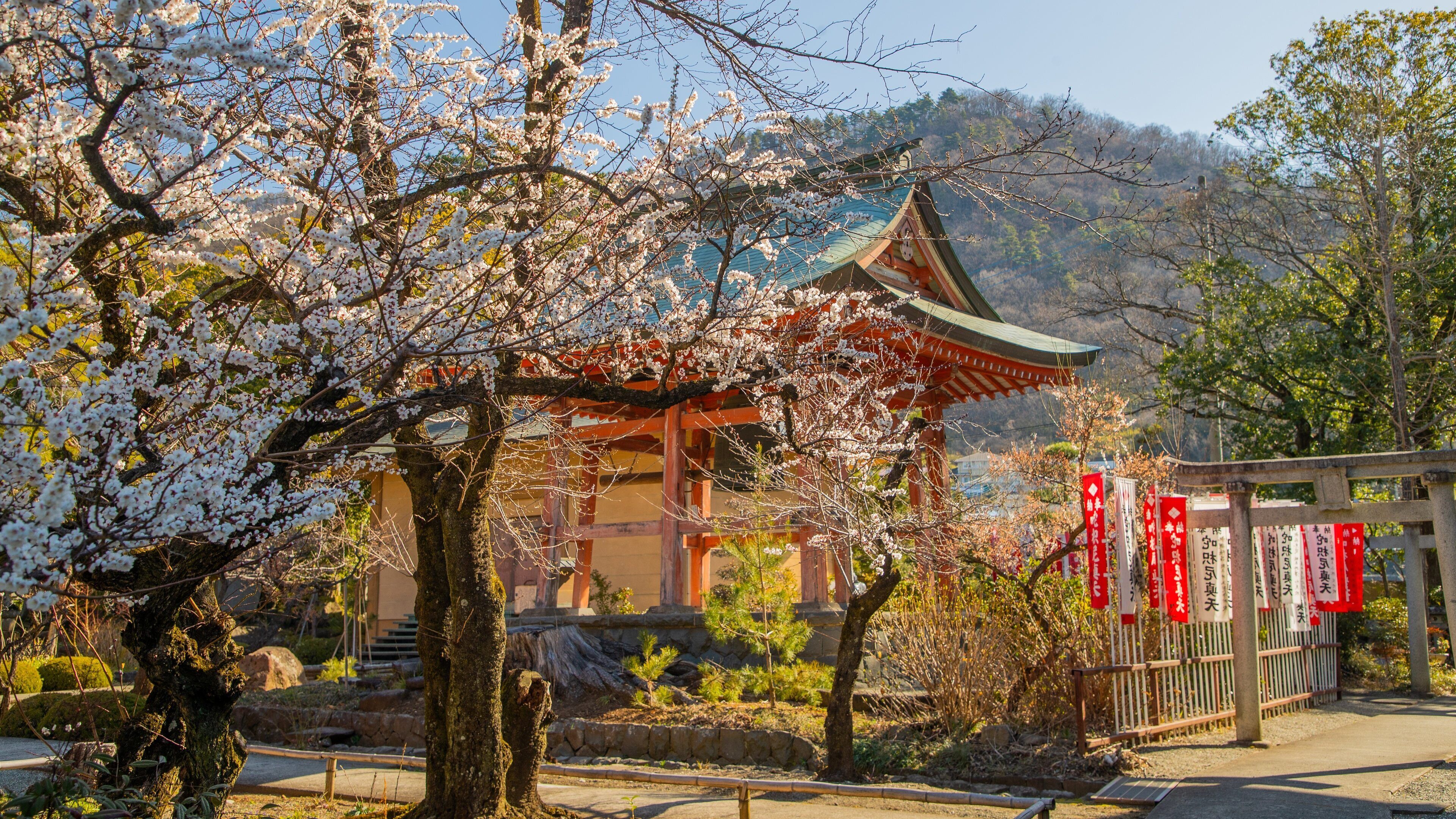 Kai Zenkoji Temple featuring a temple or place of worship and wildflowers