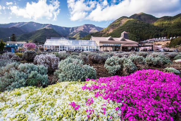 A greenhouse, a building with a red roof, and mountains in the background.