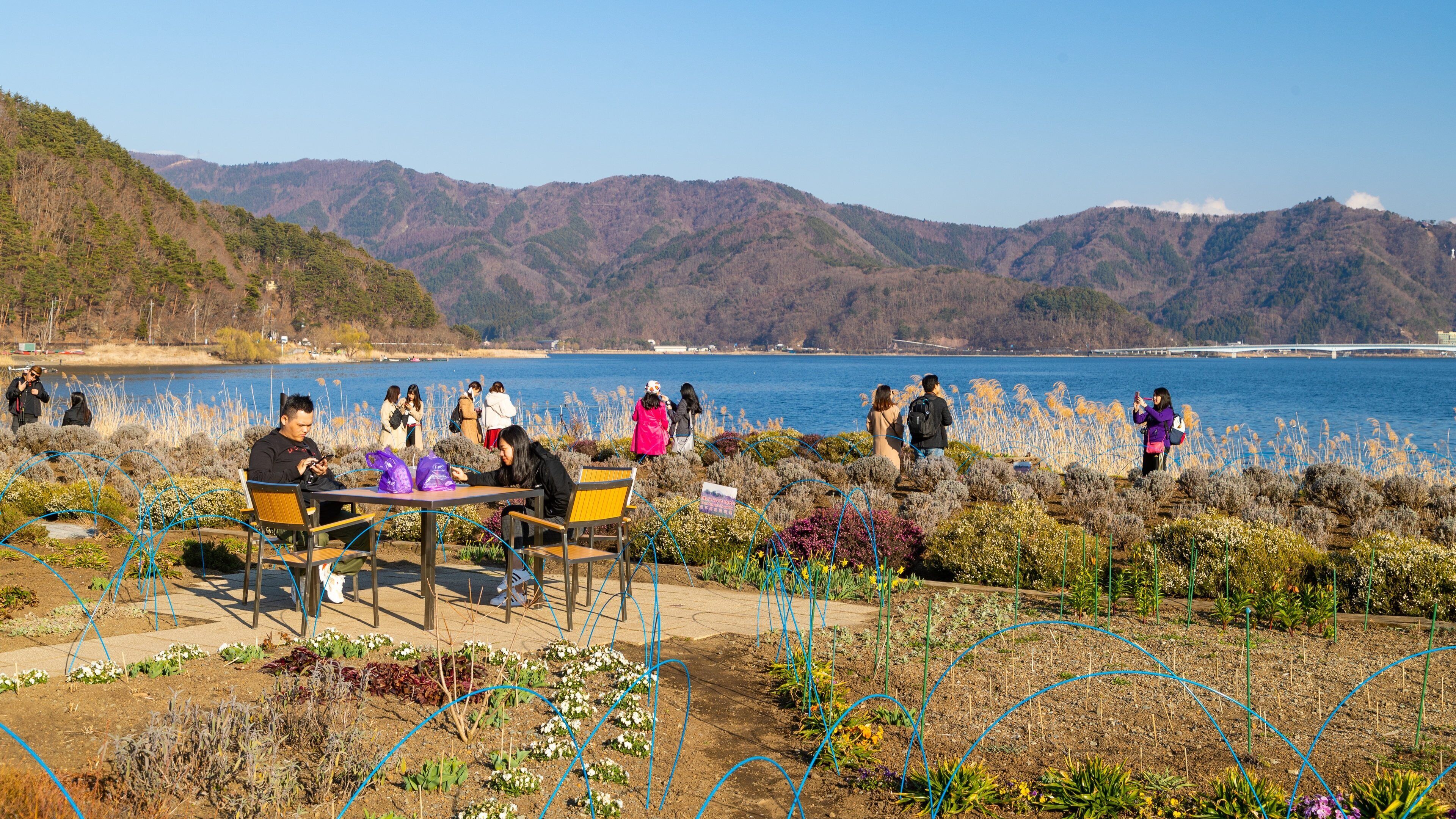 Kawaguchiko Natural Living Center featuring a lake or waterhole, a garden and wildflowers
