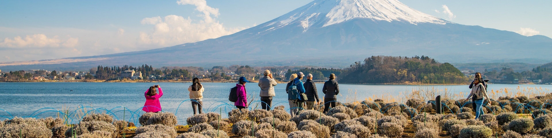 Oishi Park showing a lake or waterhole, a park and mountains