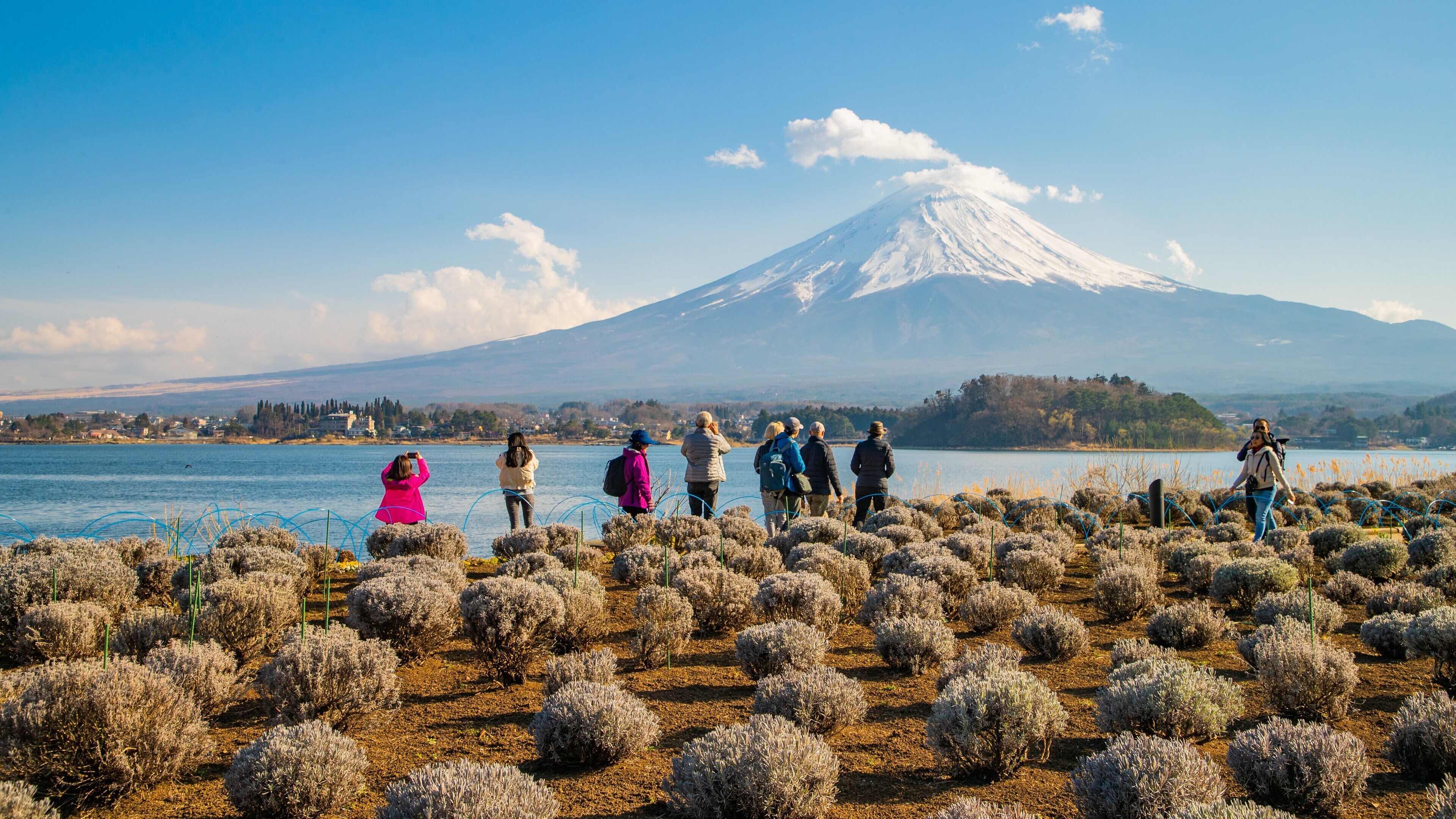 A group of people standing in a field of shrubs with a lake and a snow-capped mountain in the background.