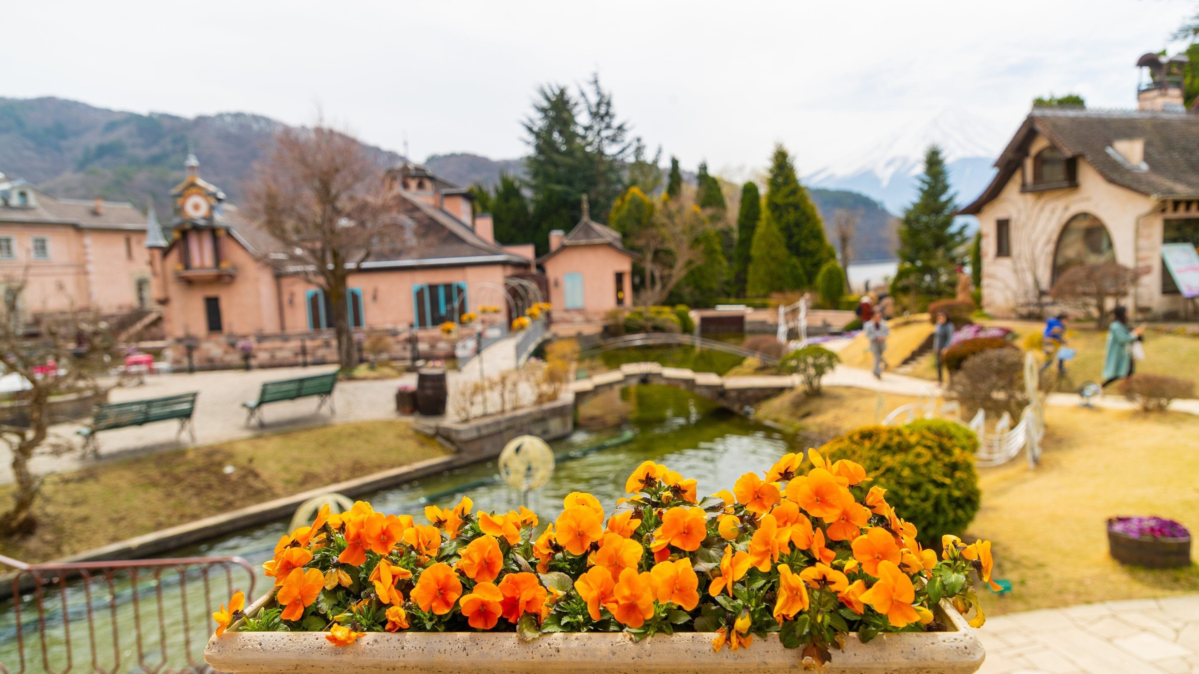 小さなヨーロッパ オルゴールの森 (富士河口湖町) - ツアーと