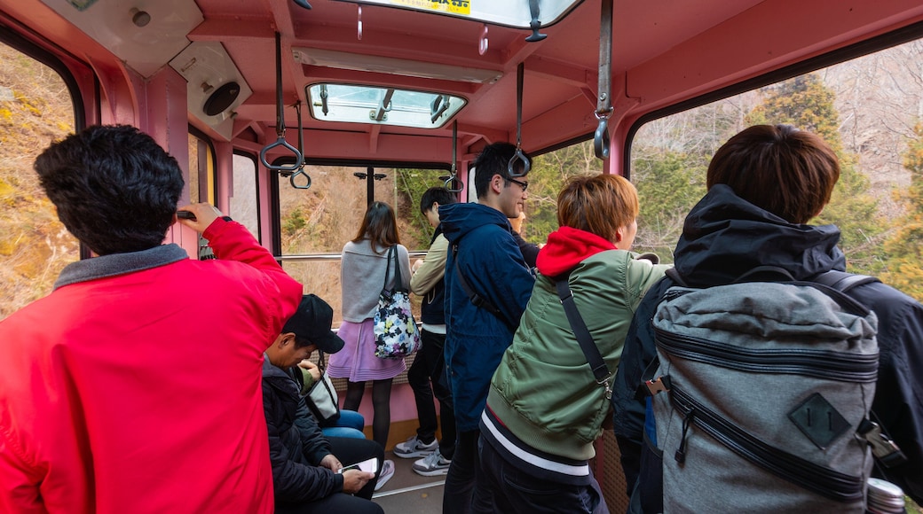 Shosenkyo Ropeway which includes interior views and a gondola as well as a small group of people