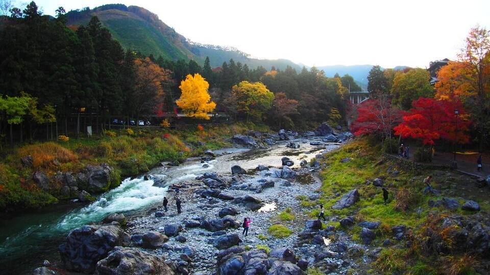 Colorful leave in autumn at mount Mitake, Japan
