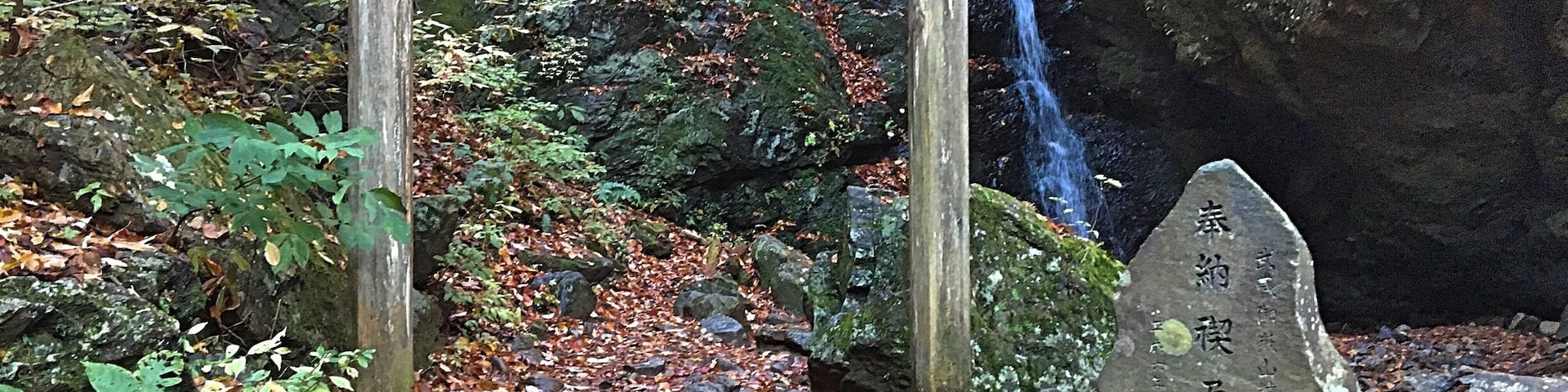 Misogi is a Shinto tradition that involves going argue water from a waterfall for ritual purification. Many Japanese people will make a pilgrimage to sacred waterfalls in order to preform this meditation. Participants dress in all white and prepare themselves both spiritually and physically beforehand with a variety of exercises. Once completed, the guide aids participants in performing the meditation underneath the waterfall. #culture #japan #adventure #meditation #red #nature