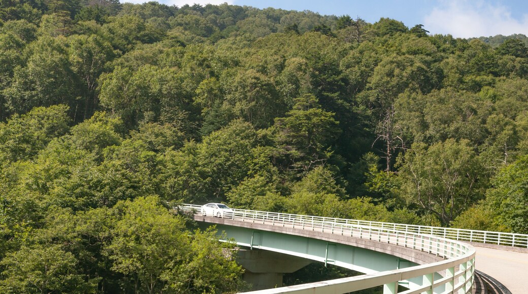 Hoogvlakte van de Kirigamine-berg