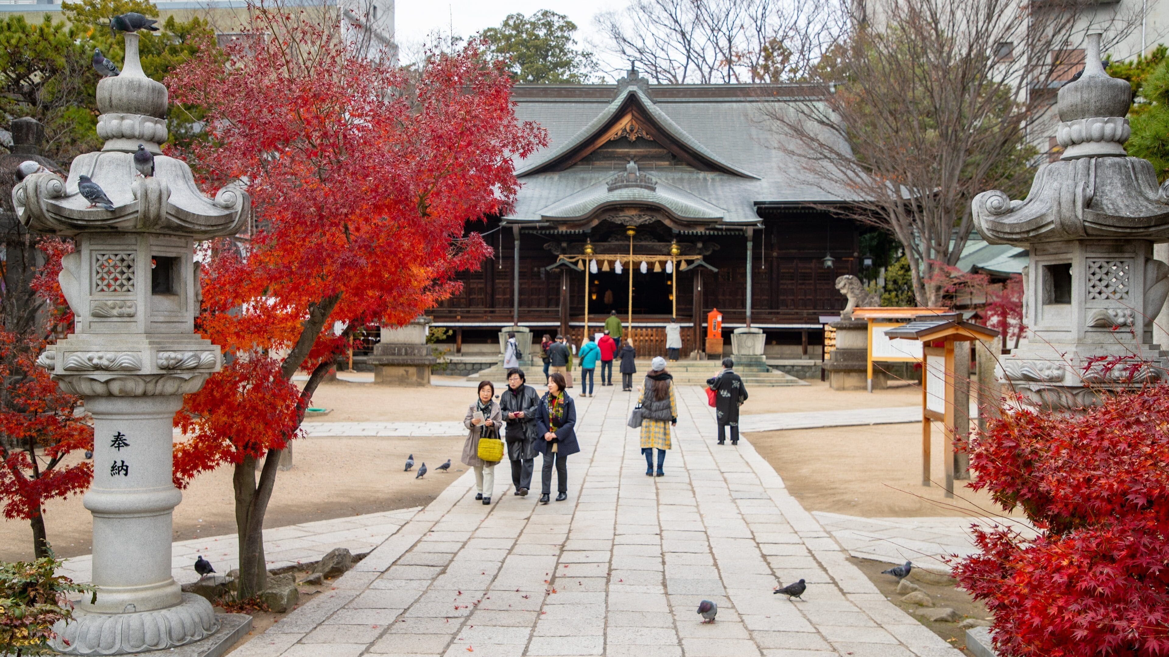 Et traditionelt japansk tempel med røde efterårsløv, stenenlanterner og folk, der går i gården.