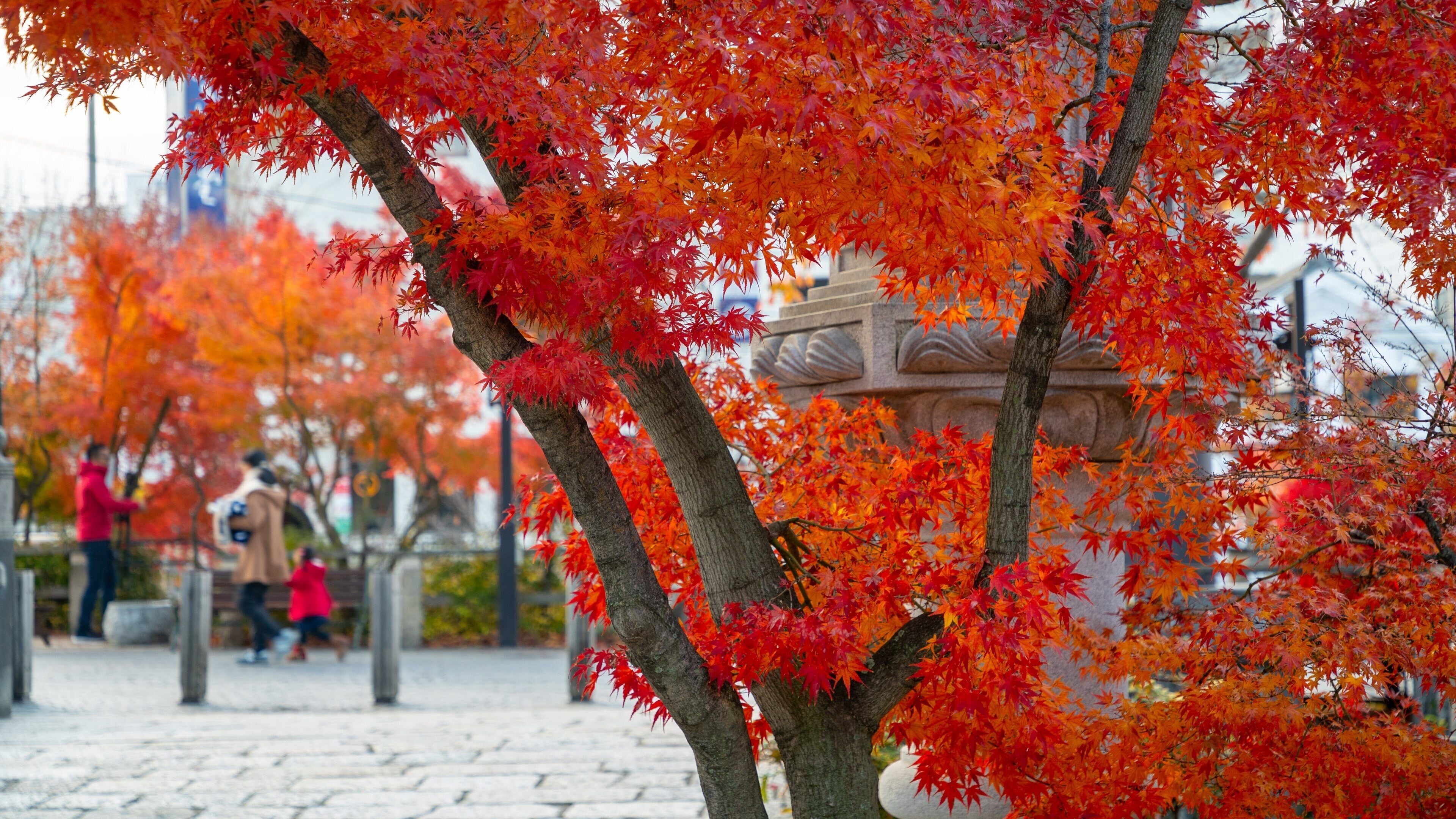 Yohashira Shrine which includes heritage elements