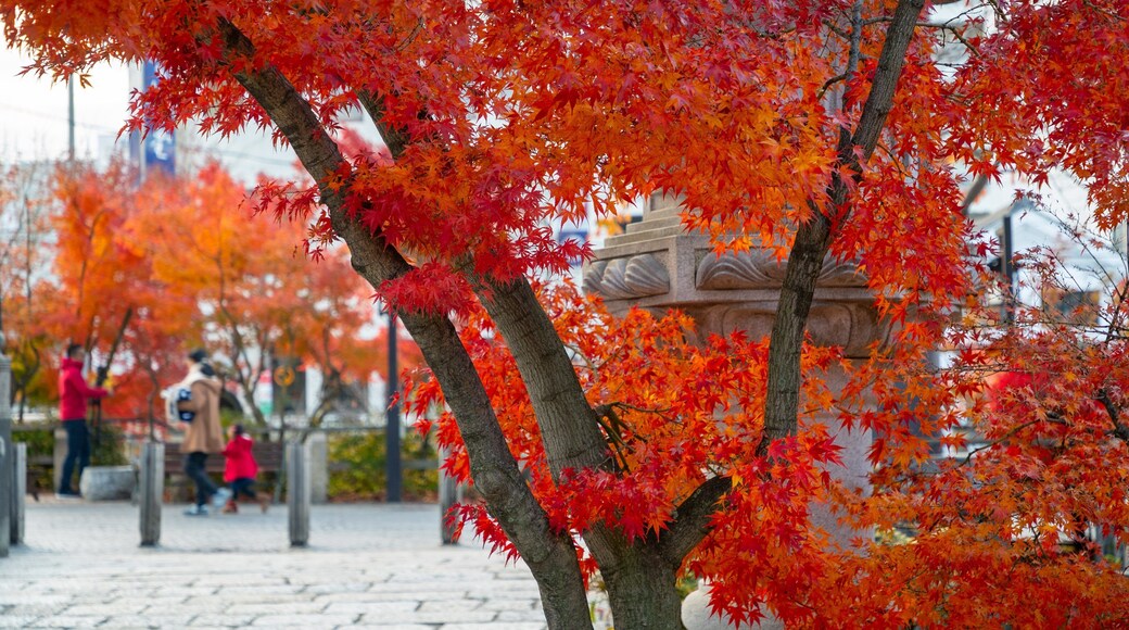 Yohashira Shrine which includes heritage elements