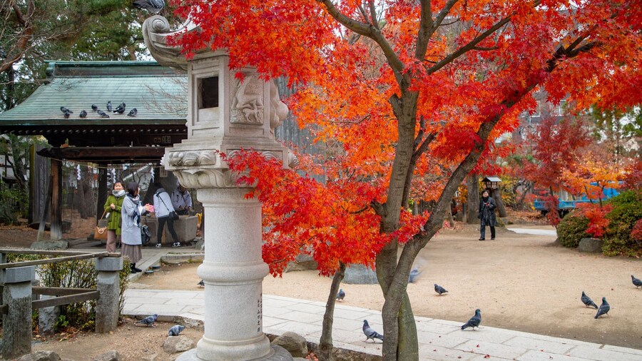 Yohashira Shrine featuring bird life, heritage elements and a garden