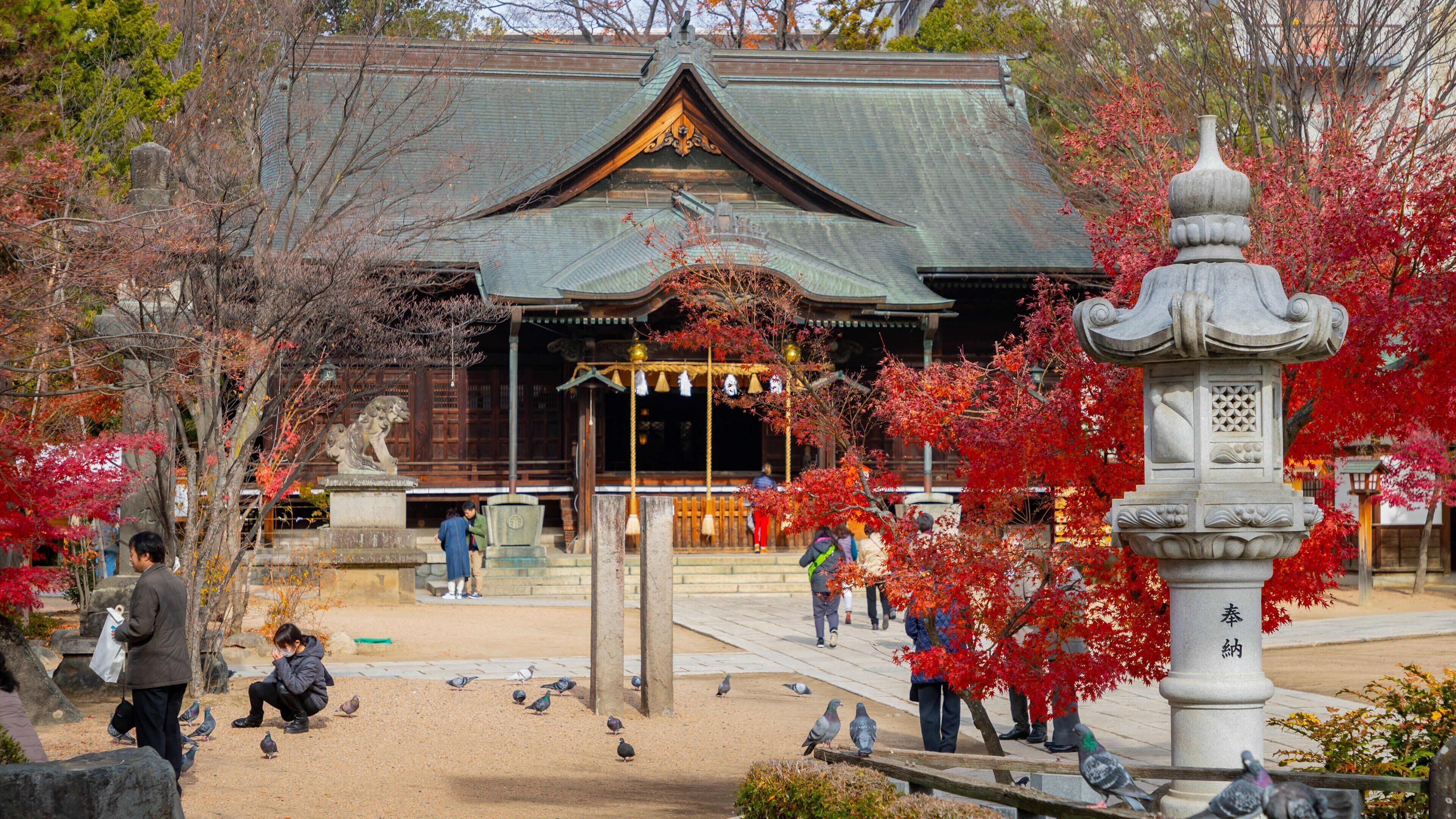 Yohashira Shrine showing heritage elements and a temple or place of worship