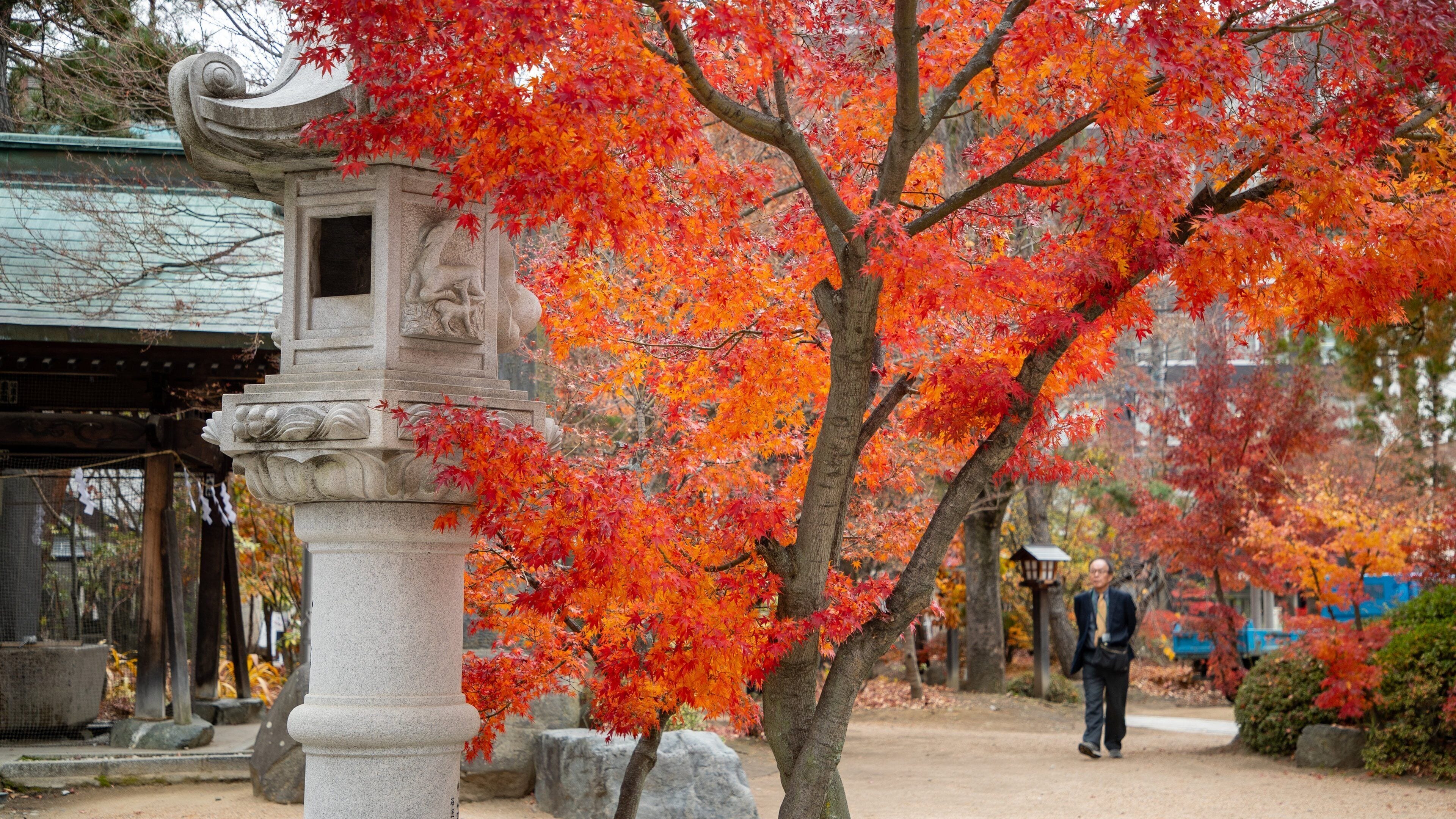 Yohashira Shrine featuring fall colors and a garden