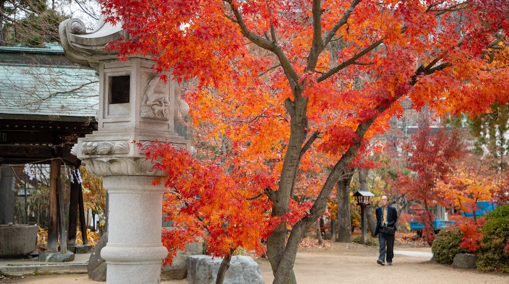 Yohashira Shrine featuring fall colors and a garden
