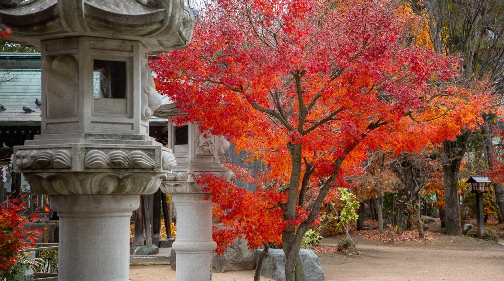 Yohashira Shrine showing a temple or place of worship and heritage elements