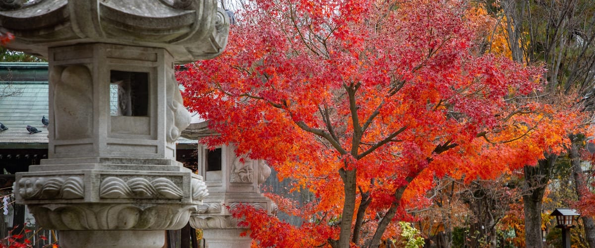 Yohashira Shrine showing a temple or place of worship and heritage elements