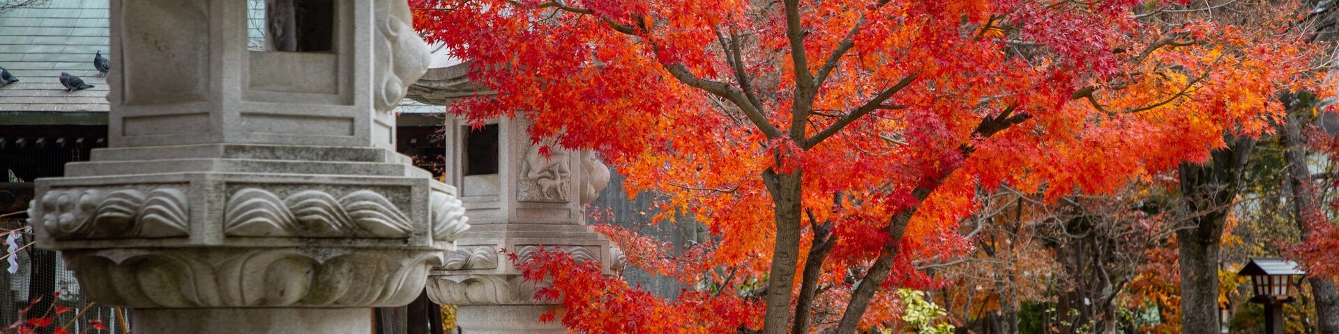 Yohashira Shrine showing a temple or place of worship and heritage elements