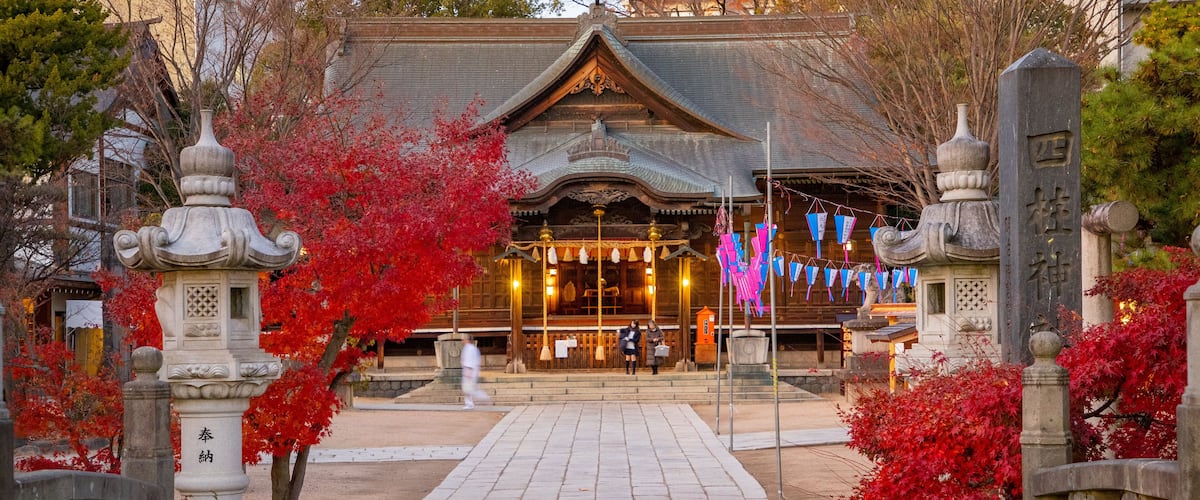 Yohashira Shrine featuring a temple or place of worship, wildflowers and heritage architecture