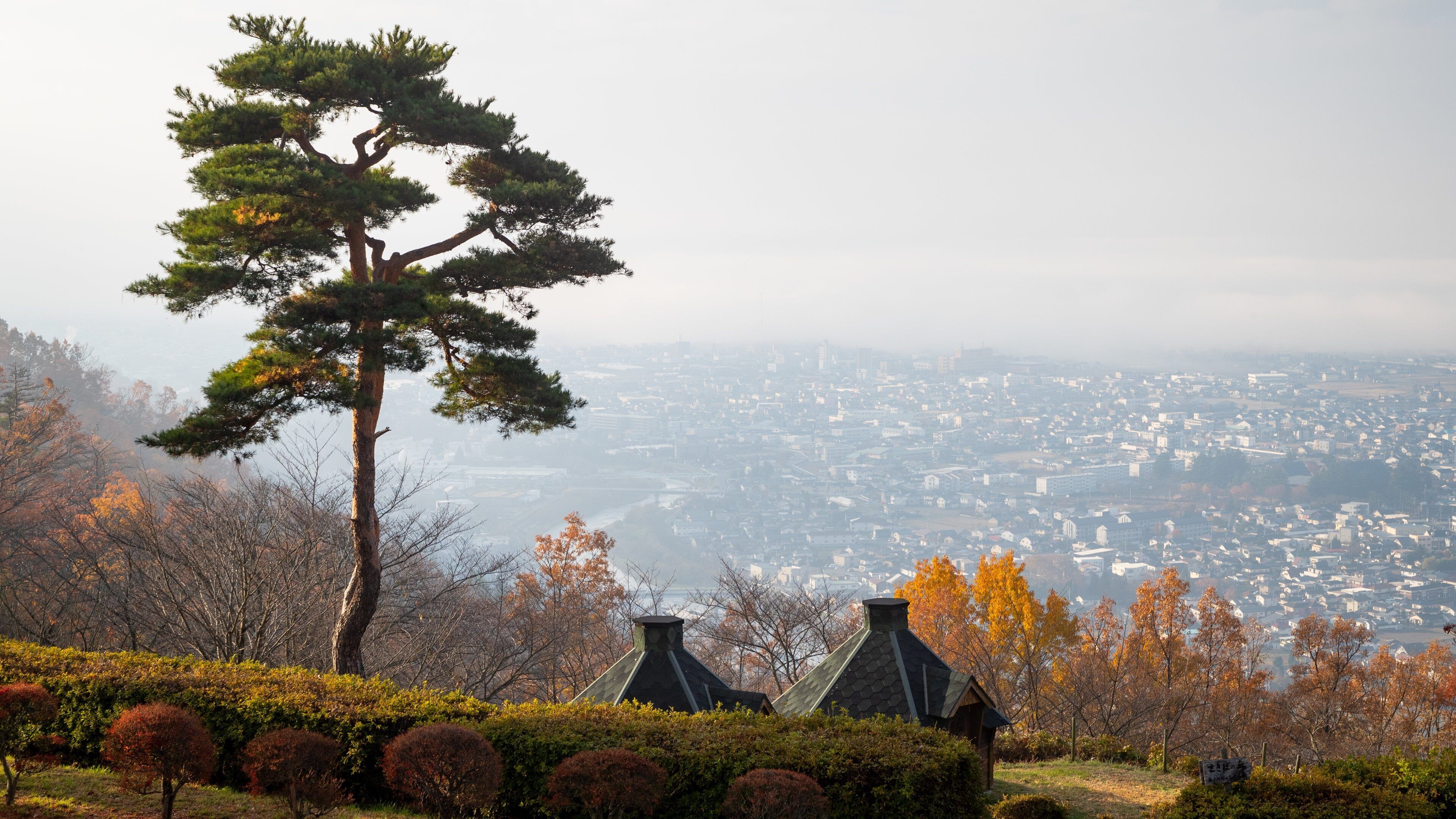 Alps Park Matsumoto showing landscape views, a park and fall colors
