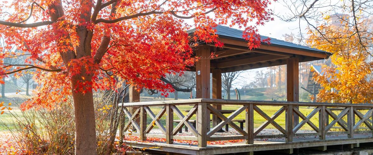Alps Park Matsumoto showing a garden and fall colors