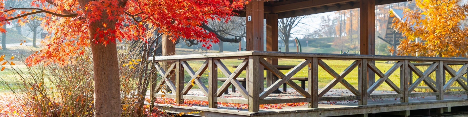 Alps Park Matsumoto showing a garden and fall colors