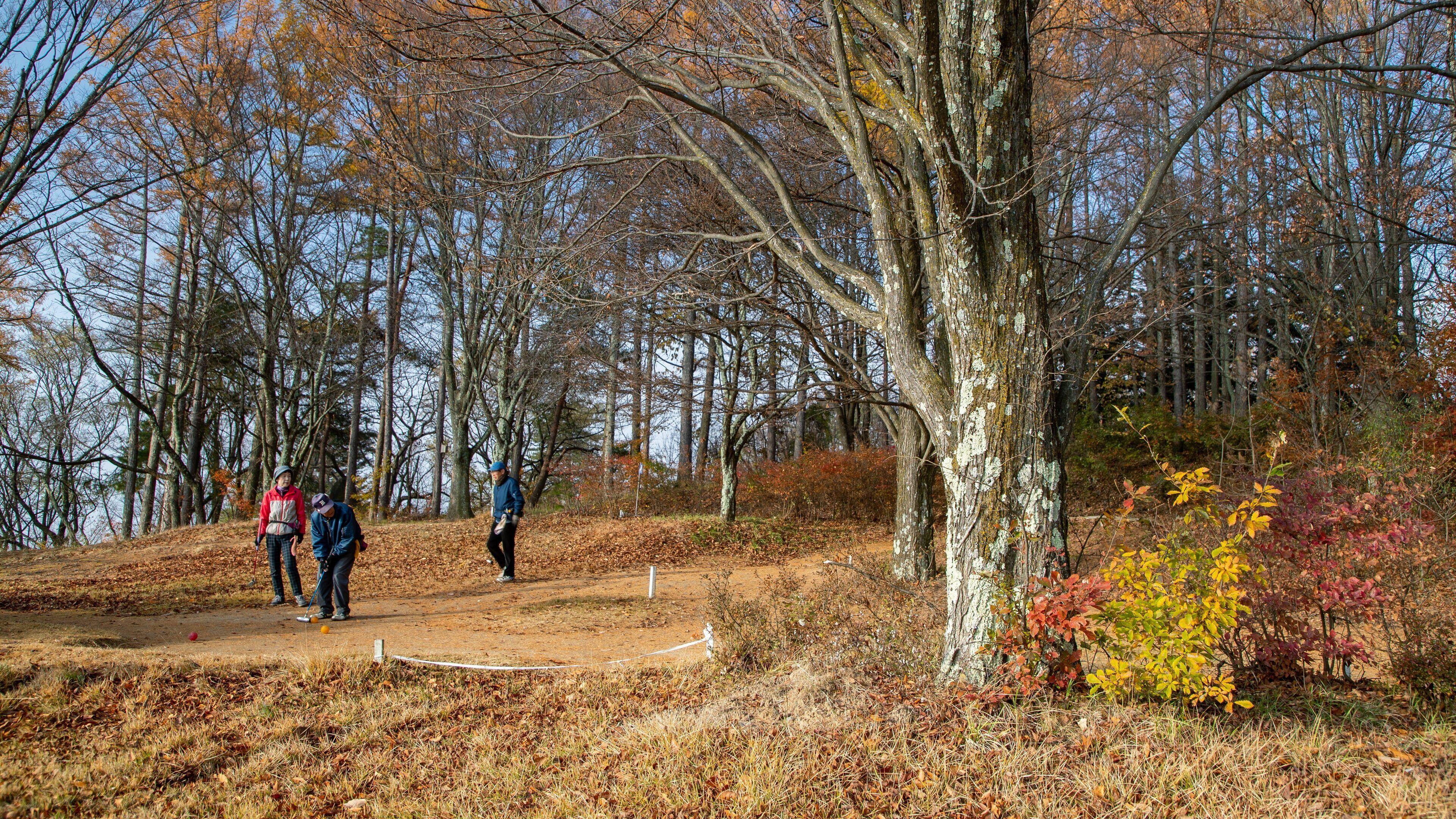 Alps Park Matsumoto featuring fall colors and a park as well as a small group of people