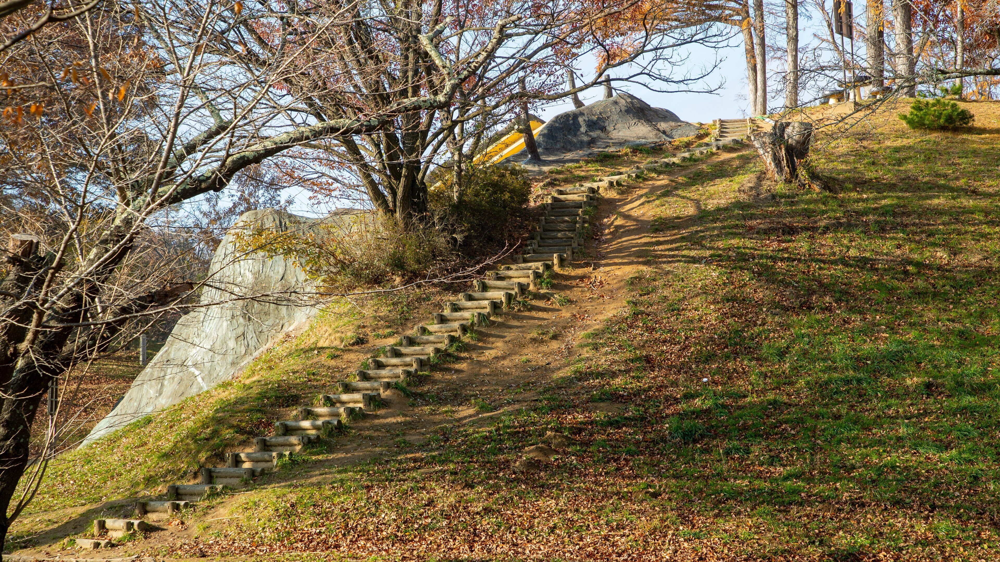 Alps Park Matsumoto which includes fall colors and a garden