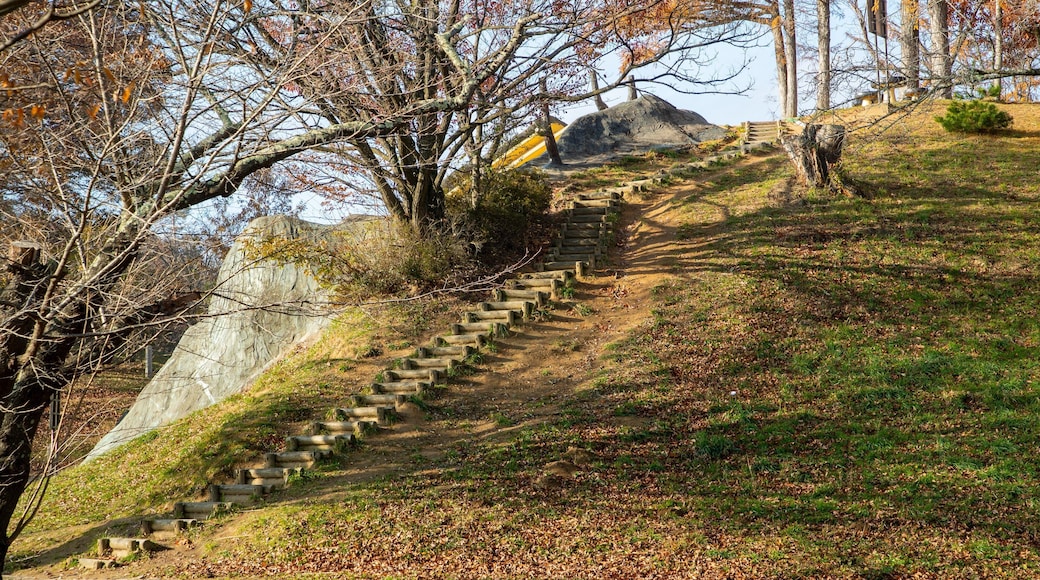 Alps Park Matsumoto which includes fall colors and a garden