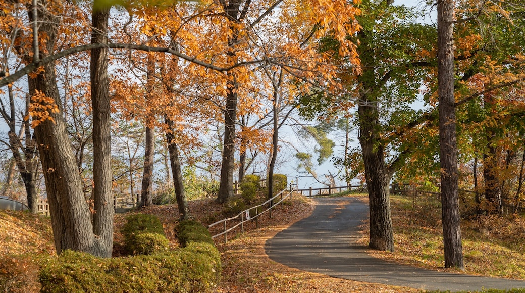 Alps Park Matsumoto showing a garden and fall colors