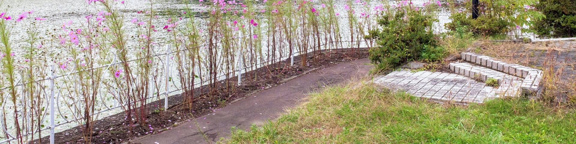 Karuizawa_KaruizawaLakeGarden_553248621532773822-1