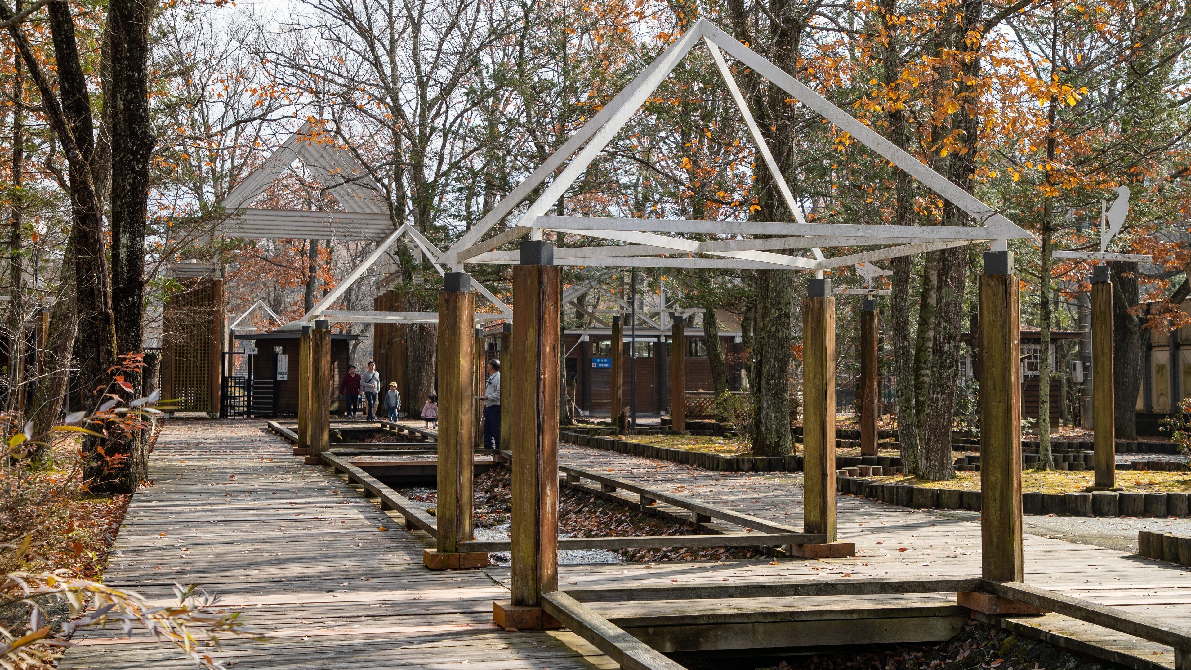 軽井沢タリアセン (軽井沢町) - ツアーとアクティビティ | エクスペディア