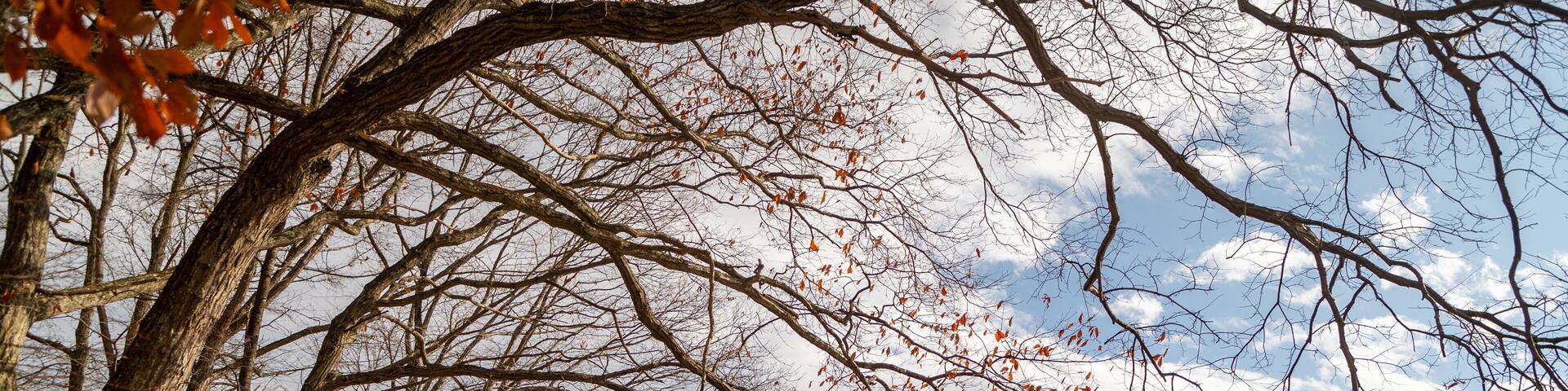 Karuizawa Taliesin featuring a lake or waterhole