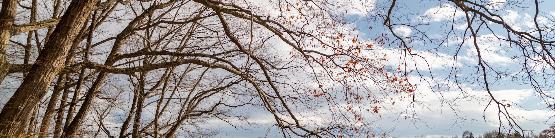 Karuizawa Taliesin featuring a lake or waterhole