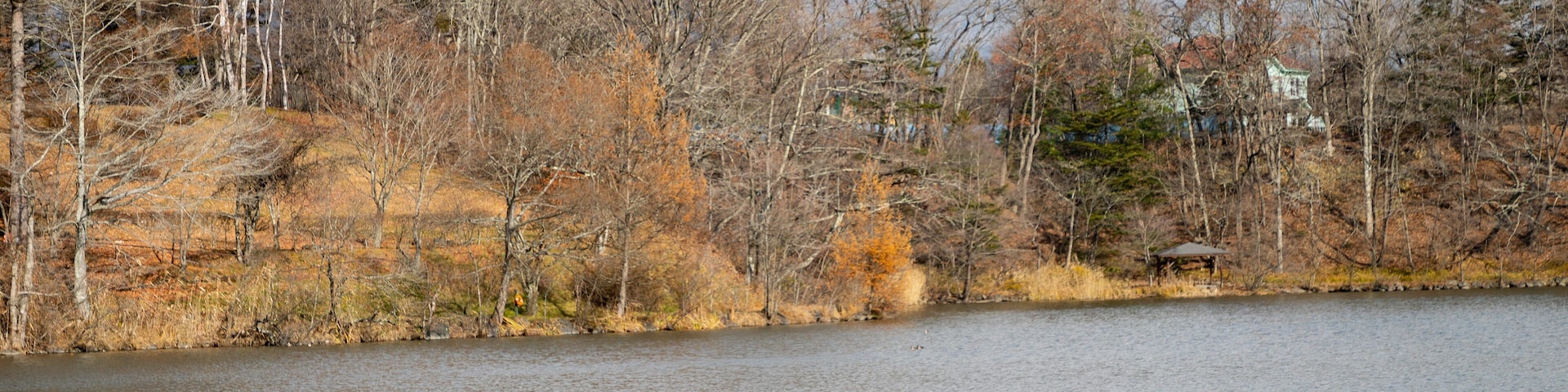 Karuizawa Taliesin featuring a lake or waterhole and boating as well as a small group of people