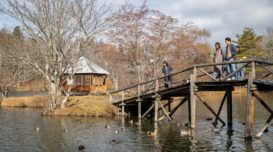 Karuizawa Taliesin which includes a pond, bird life and a bridge