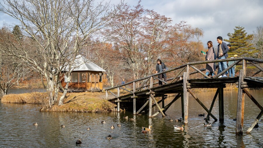 Karuizawa Taliesin which includes a pond, bird life and a bridge