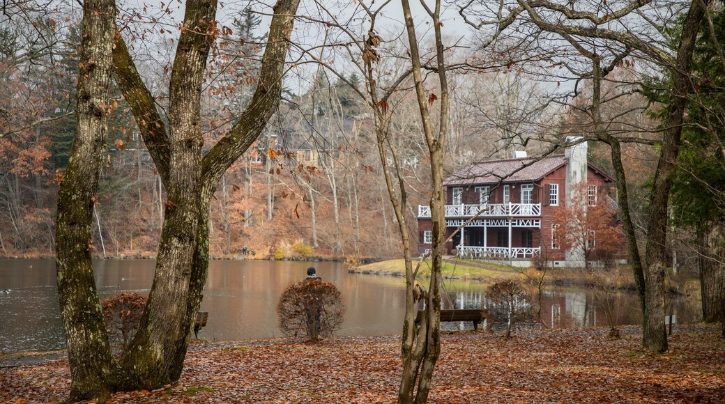 Karuizawa Taliesin featuring a house, a lake or waterhole and autumn leaves