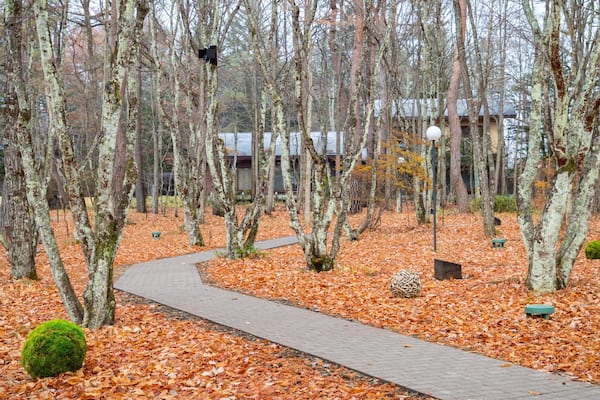 Karuizawa Church which includes autumn leaves and a park