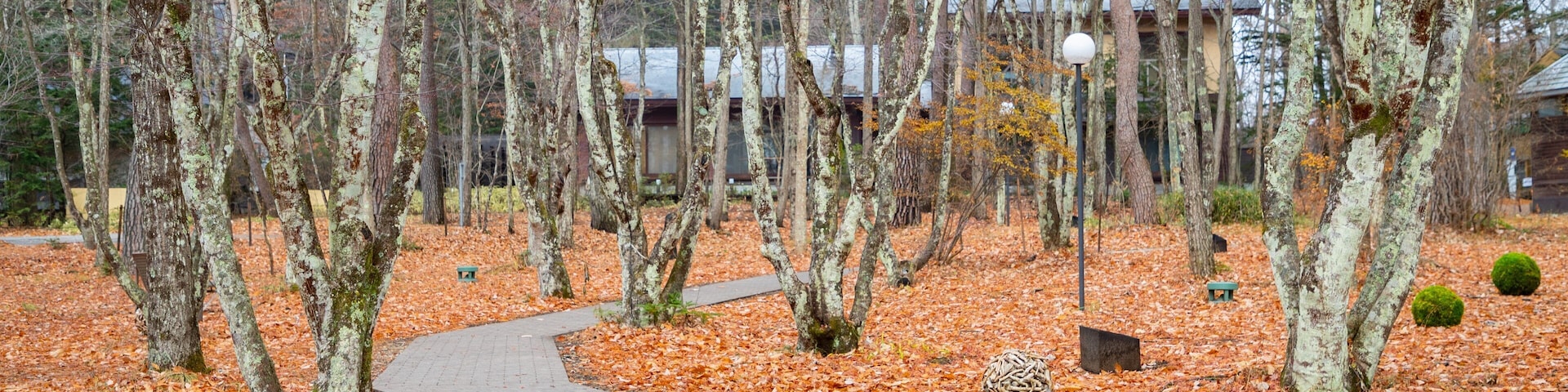 Karuizawa Church which includes autumn leaves and a park