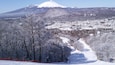 Karuizawa Prince Hotel Ski Resort showing snow, mountains and landscape views