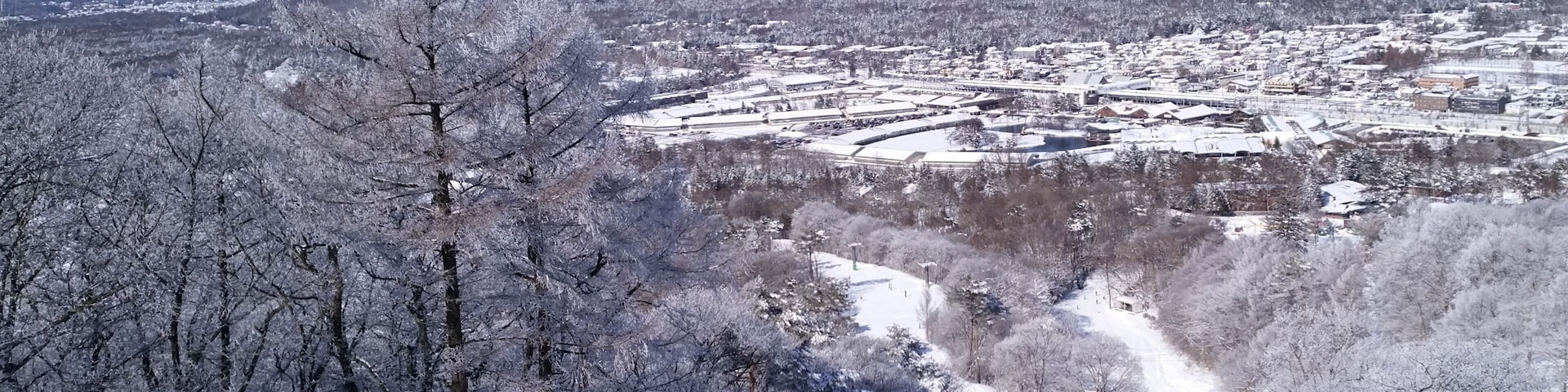 Karuizawa Prince Hotel Ski Resort showing snow, mountains and landscape views