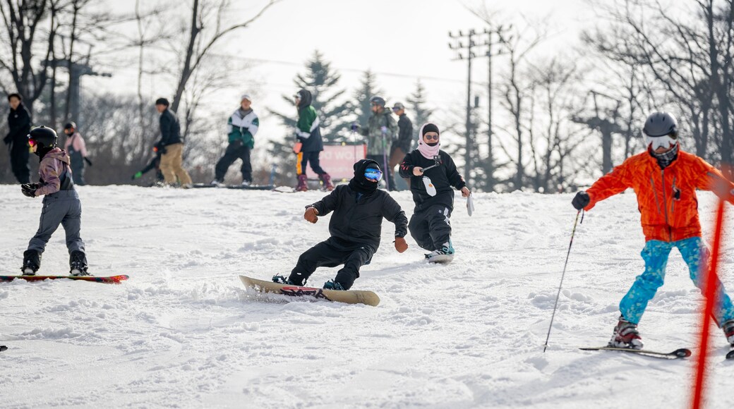 Karuizawa Prince Hotel Ski Resort showing snow and snow skiing as well as a small group of people