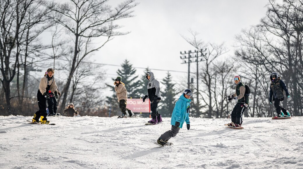 Karuizawa Prince Hotel Ski Resort featuring snow boarding and snow as well as a small group of people