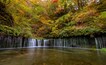 A waterfall surrounded by autumn foliage.