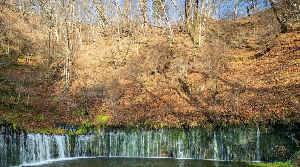 Shiraito Falls featuring a waterfall