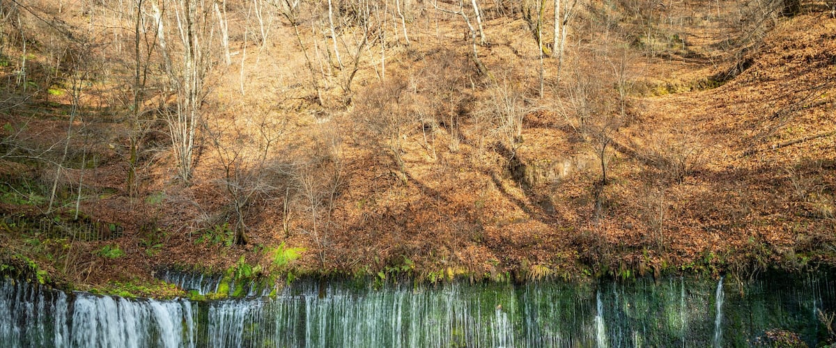 Shiraito Falls featuring a waterfall