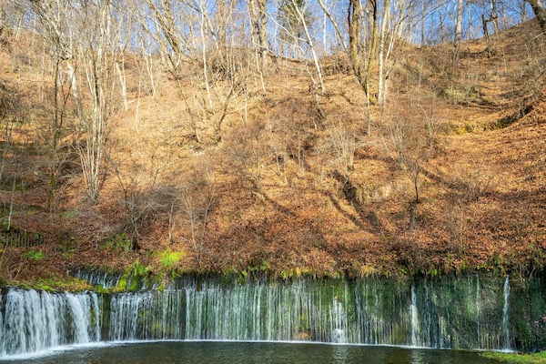 Shiraito Falls featuring a waterfall