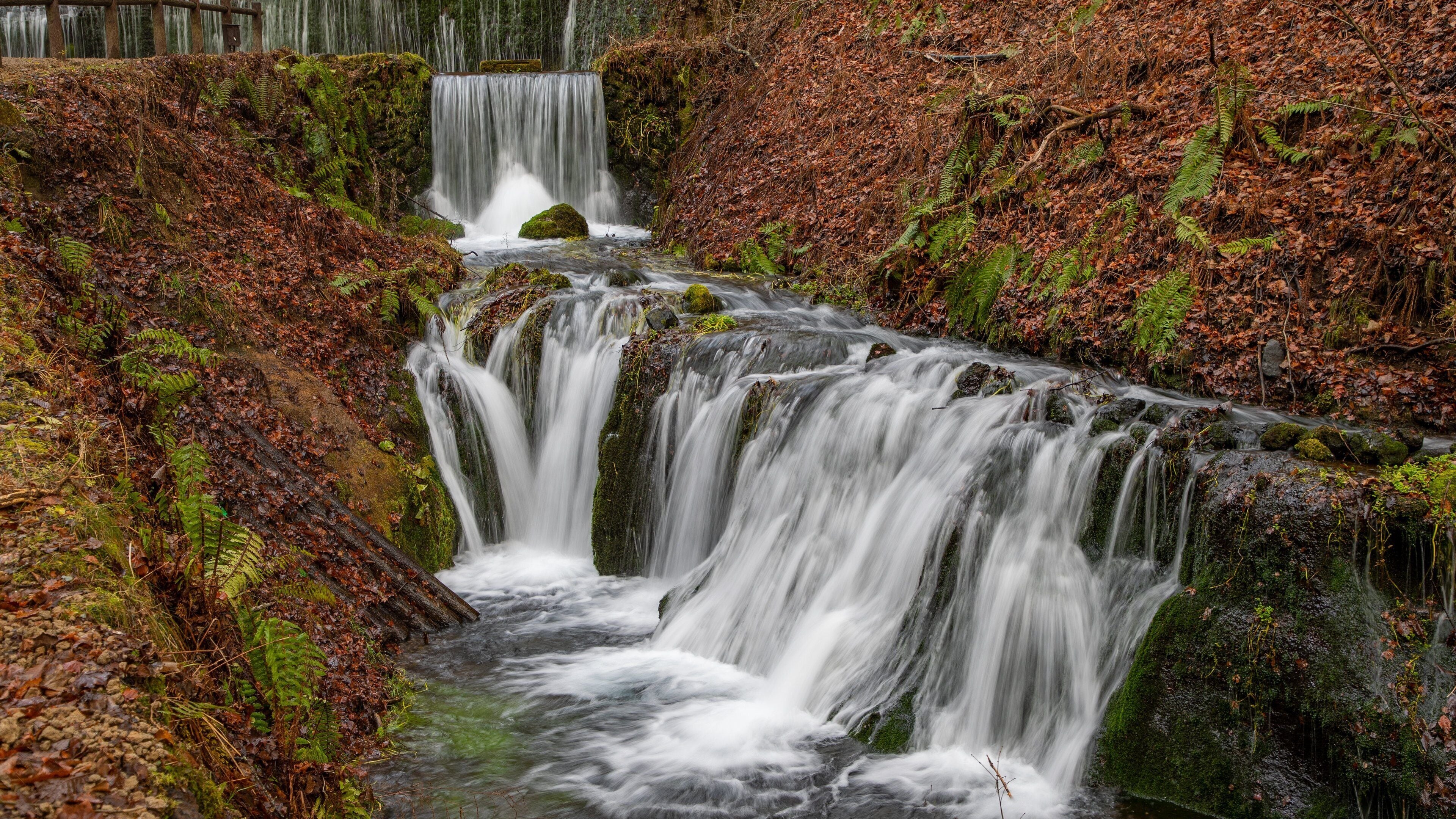 Shiraito Falls which includes forest scenes and a river or creek